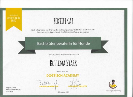 Ich bin zertifizierte Tierheilpraktikerin (Impulse e. V.) und habe zusätzliche Qualifikationen als Ernährungsberaterin für Hunde und Katzen, Ich bin zertifizierte Tierheilpraktikerin (Impulse e. V.) und habe zusätzliche Qualifikationen als Ernährungsberaterin für Hunde und Katzen,